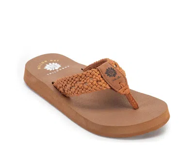 Yellow Box Niles Sandal In Brown