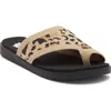 Yellow Box Premium Feeza Sandal In Brown