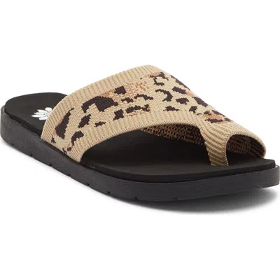 Yellow Box Premium Feeza Sandal In Brown