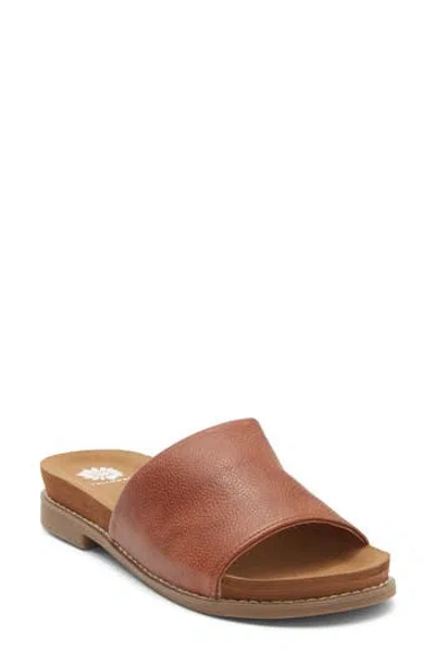 Yellow Box Premium Kalo Slide Sandal In Brown