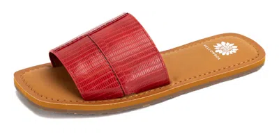 Yellow Box Women's Dixon Slides In Red