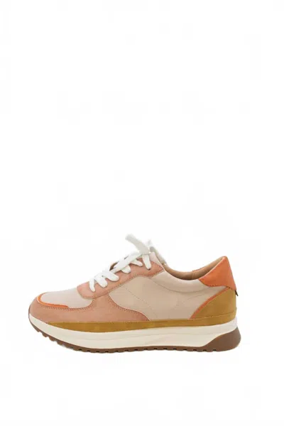 Yellow Box Women's Elodie Sneaker In Multi-color