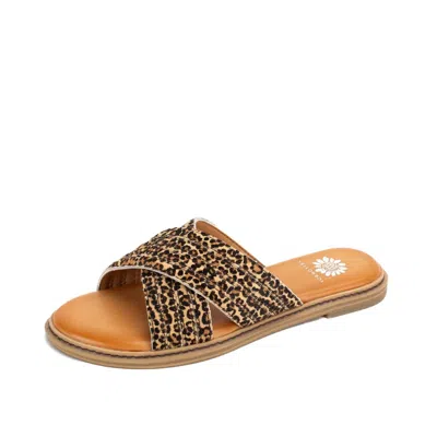 Yellow Box Women's Linta Crossband Slide In Leopard In Brown