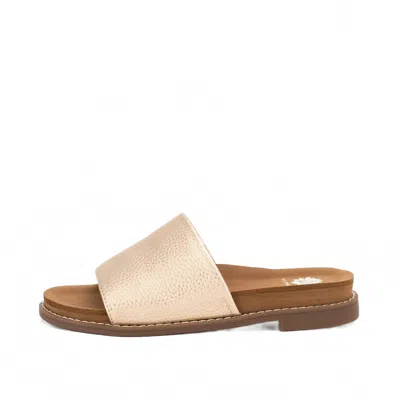Yellow Box Women's Shelly Slide Sandals In Gold