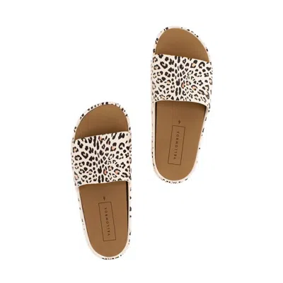 Yellow Box Women's Torrey Flatform Leopard Sandal In Beige