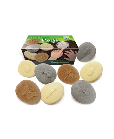 Yellow Door Let's Investigate Bugs Stone, Set Of 8 In Assorted