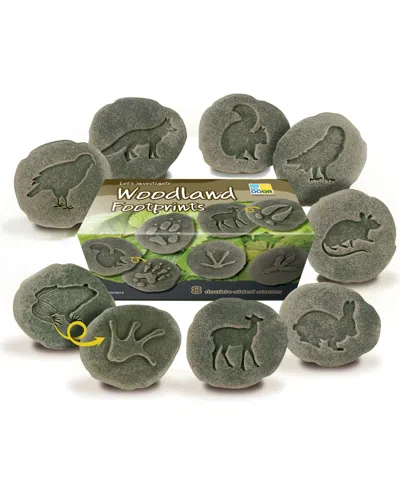 Yellow Door Let's Investigate Woodland Footprint Stones, Set Of 8 In Multicolor