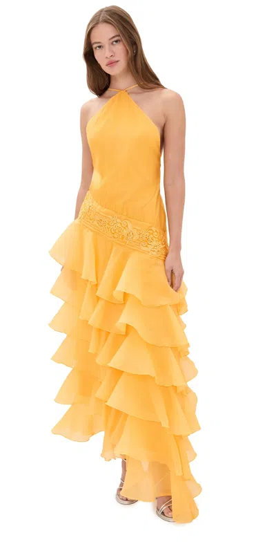 Yellow The Label Dahlia Organza Dress Golden Rod In White