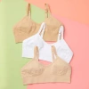 Yellowberry Poppy Seamless Bra 3pk In Earth Basics
