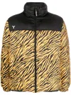Yes I Am Tiger-print Reversible Padded Jacket In Black