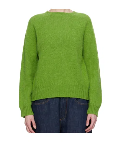 YMC YOU MUST CREATE SSENSE EXCLUSIVE GREEN JETS SWEATER