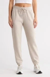 Yogalicious Butter Boston Joggers In Neutral