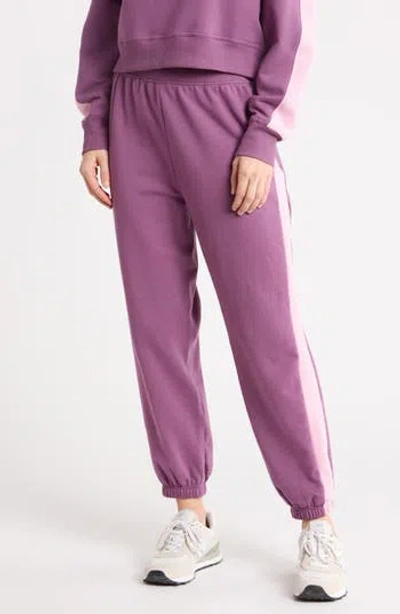 Yogalicious Cloud Plush Joggers In Purple