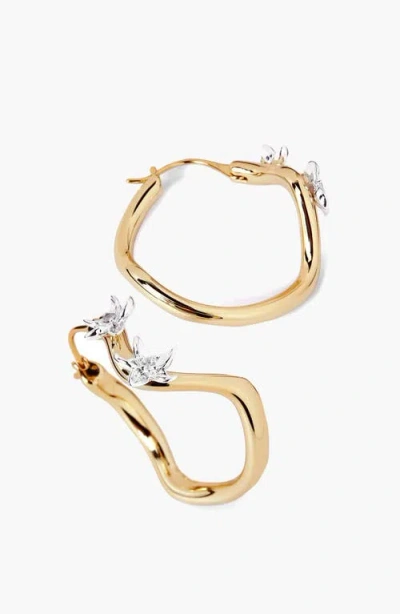 Yoj Calino Hoop Earrings In Gold