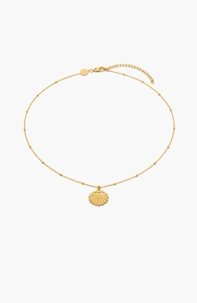 Yoj Conchigla Beaded Shell Choker Necklace In Gold