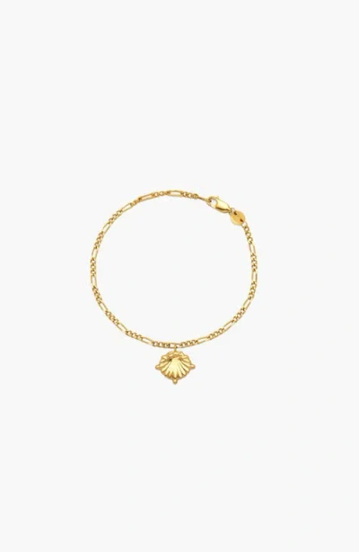 Yoj Conchigla Figaro Bracelet In Gold