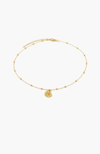 Yoj Coral Beaded Shell Chocker Necklace In Gold