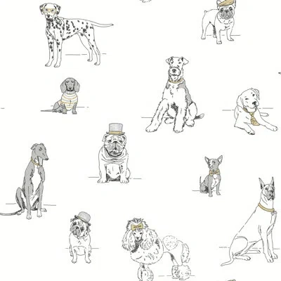 York Wallcoverings Ashford Toiles Dog's Life 33' L X 21" W Wallpaper Roll In Multi