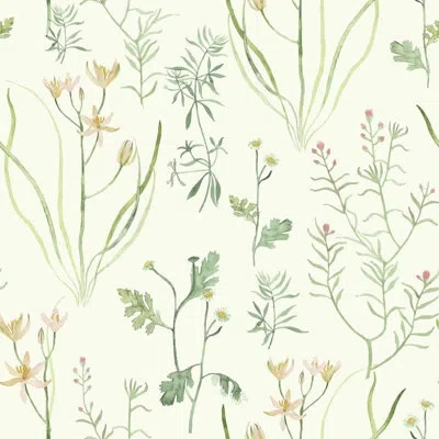 York Wallcoverings Alpine Botanical 33' L X 20.5" W Wallpaper Roll In Green