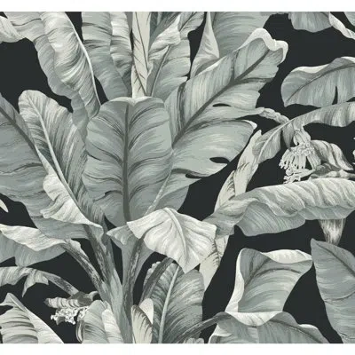 York Wallcoverings Banana Leaf 27' L X 27" W Wallpaper Roll In Black,white