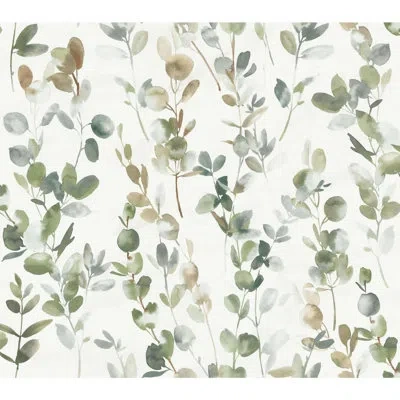 York Wallcoverings Joyful Eucalyptus 27' L X 27" W Wallpaper Roll In Multi