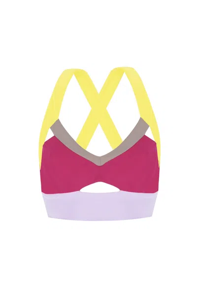 Yorstruly Women's Pink / Purple Mady Bra - Pink & Purple In Pink/purple