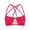 Yorstruly Women's Pink / Purple Micra Bikini Top - Cassis In Pink/purple
