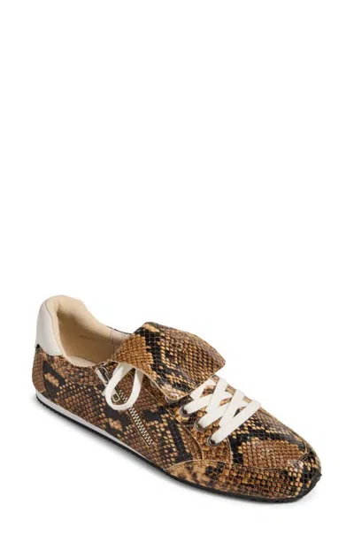 Yosi Samra Barclay Snake Embossed Leather Sneaker In Brown