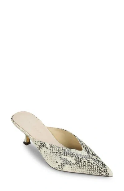 Yosi Samra Remi Pointed Toe Kitten Heel Mule In Multi