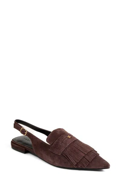 Yosi Samra Warren Pointed Toe Slingback Flat In Chocolate