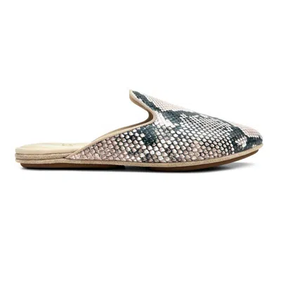 Yosi Samra Women's Vidi Mule Shoes In Natural Snake Leather In Multi