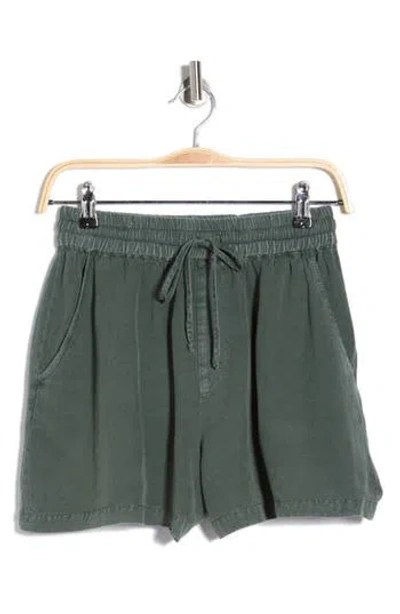 Young Fabulous & Broke Young, Fabulous & Broke Kalea Linen Blend Shorts In Green