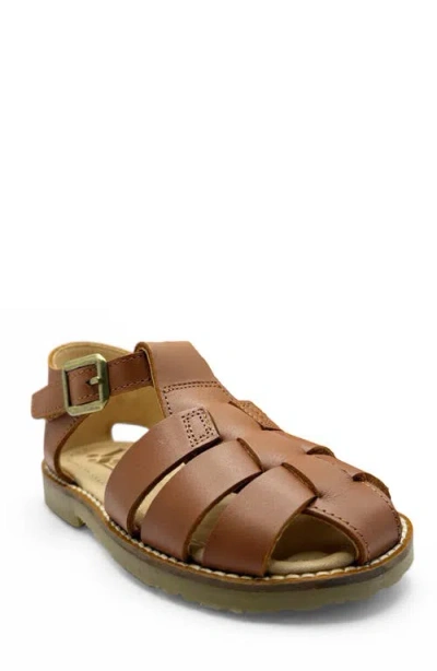 Young Soles Noah  Sandal In Brown