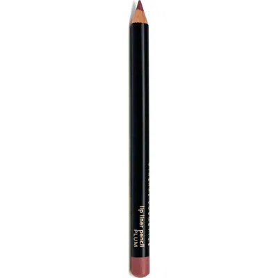 Youngblood Mineral Cosmetics Lip Pencil In Multi