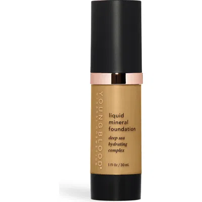 Youngblood Mineral Cosmetics Liquid Mineral Foundation In Brown