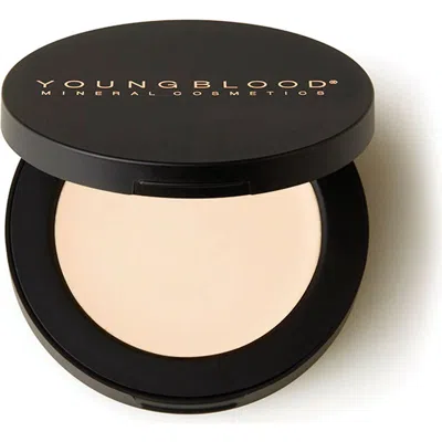Youngblood Mineral Cosmetics Stay Put Eye Prime In Multi