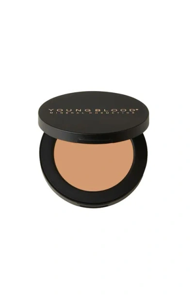 Youngblood Mineral Cosmetics Ultimate Concealer In Brown