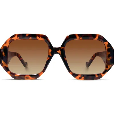 Youzey Afterglow Sunglasses In Tortoise