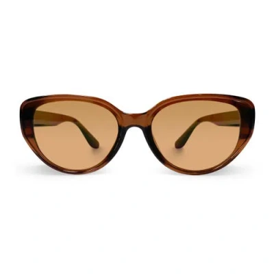 Youzey The Camden Sunglasses In Brown