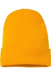 Yp Classics Cuffed Beanie In Gold