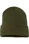 Yp Classics Cuffed Beanie In Green