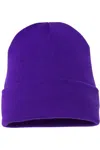 Yp Classics Cuffed Beanie In Purple