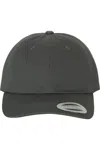 Yp Classics Dads Cap In Grey