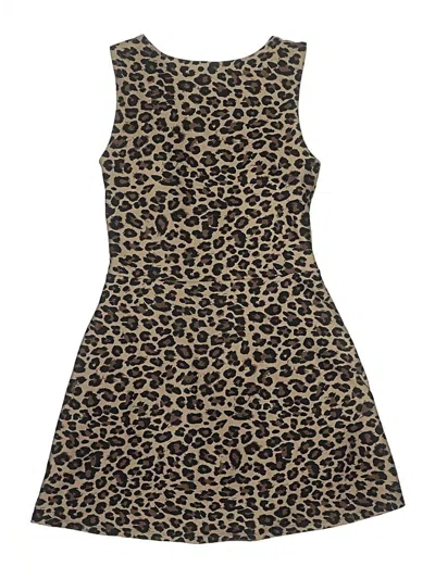 Pre-owned Ypb Casual Skirt In Brown