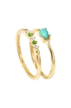 Ys Gems Set Of 2 Turquoise Rings In Blue