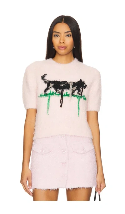 Yuhan Wang Cat Intarsia Top In Blush