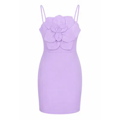 Yumi Kim Women's Purple Alina Mini Dress