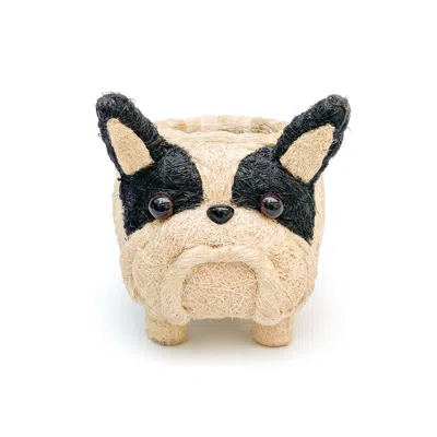 Yumi Weaves Black / White French Bulldog Plant Pot Or Desk Organiser In Multi