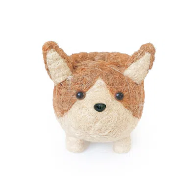 Yumi Weaves Brown / White Corgi Plant Pot And Desk Organiser In Multi
