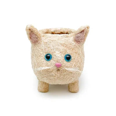 Yumi Weaves White Cat Plant Pot - Desk Organiser